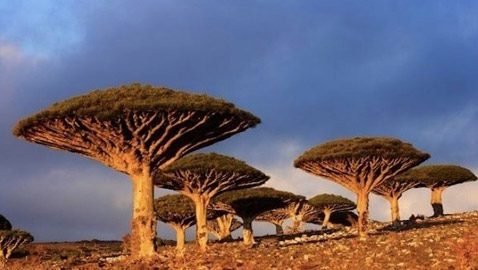 تعرف على البقعة الأكثر غرابة على الأرض