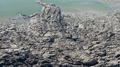 مفترس بفكين فتاكين.. هل ترى الوحش الكامن في الطين؟