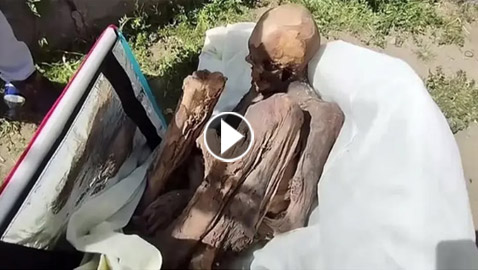 تنام جنبه ويعتني بها.. بحقيبة عامل توصيل وجدوا مومياء عمرها 800 سنة