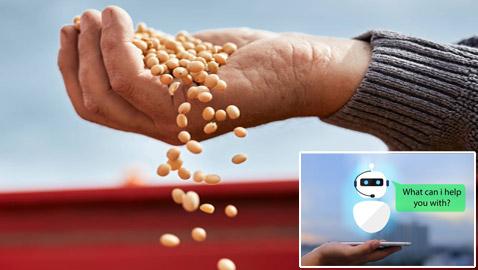 الذكاء الاصطناعي قد يجنب العالم أزمات غذائية.. تنبأ بتفشي انعدام الأمن الغذائي