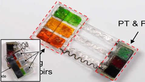 ابتكار لا يصدق.. غرسة تضخ الأدوية بمواعيدها داخل جسمك!