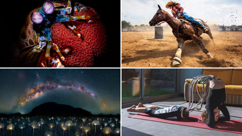 بالصور: إليكم جوائز 