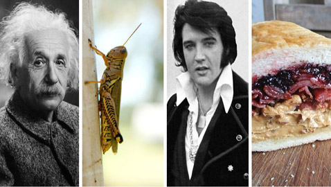 تناول الطين والمخلل المحشو بالحلوى! أغرب عادات الطعام لدى المشاهير!