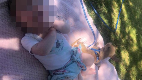 ولادة قيصرية تحت تهديد الشرطة في أستراليا