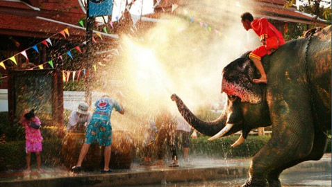 مهرجانات الربيع الأبرز حول العالم