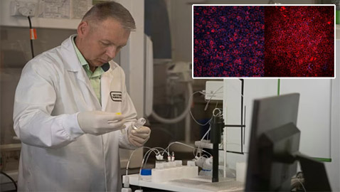 علماء يطورون نسخة شبيهة بالرئة البشرية.. يطالبون بالتوقف عن إجراء التجارب على الحيوانات