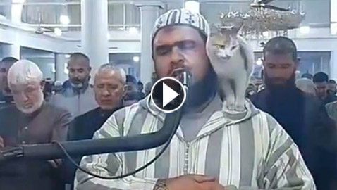 فيديو لرقص مع شقراء.. إشاعة جديدة تطال الشيخ الجزائري