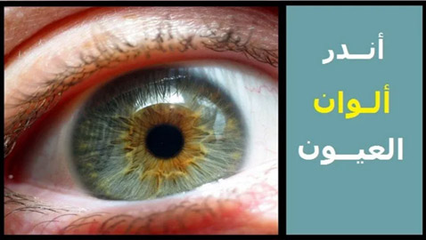 تعرف إلى 6 من أندر ألوان العيون وأكثرها غرابة في العالم!