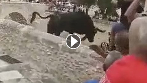 حشود هاربة من ثور هائج.. والحيوان الخائف ينتحر من علو 50 قدما!