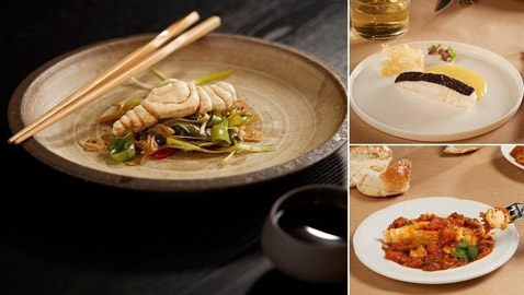 علماء ينتجون أول شريحة سمك في المختبر