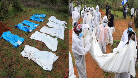 كينيا.. 179 قتيلا ضحايا 