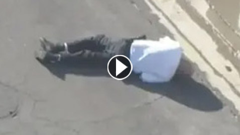 فيديو: سرب نحل غاضب يُسقط شرطيا أرضا