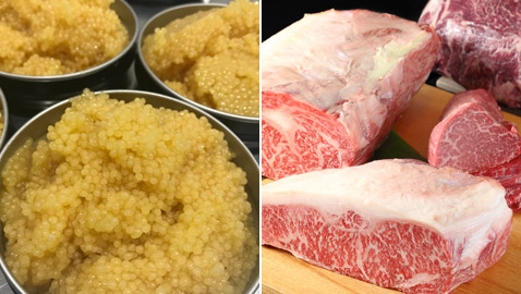 مشروم سعره 2000 دولار!.. إليكم أغلى أنواع الأطعمة حول العالم