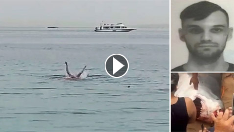 فيديو: السلطات المصرية تصطاد القرش القاتل الذي هاجم السائح الروسي