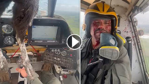 فيديو: طائر ضخم يصدم طائرة ويترك قائدها مغطى بالدماء!