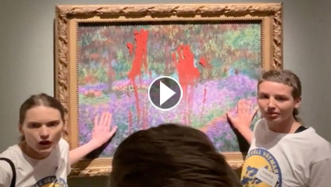 فيديو: ناشطتا مناخ تلطخان لوحة لمونيه بالطلاء الأحمر بالسويد