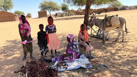 نازحو الحرب في السودان.. ظروف قاسية وأمراض قاتلة