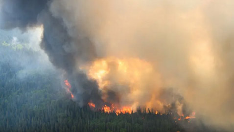 دخان الحرائق يغطيها.. هواء مونتريال بات الأكثر تلوثاً بالعالم!