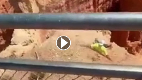 فيديو صادم لمغامر كاد يسقط من علو 800 قدم.. يغضب التواصل