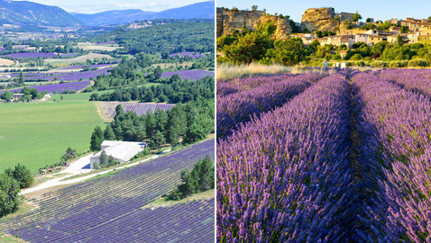 مقاطعة فرنسية غنية بالتاريخ والمناظر الطبيعية.. 