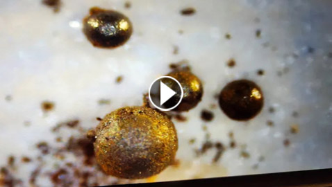 ملليمترات غارقة بالمحيط الهادي قد تؤكد وجود حضارة ذكية بالفضاء