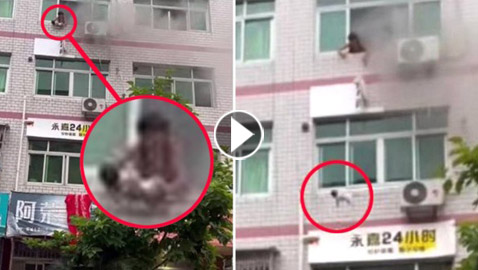 فيديو يحبس الأنفاس لأم صينية تلقي طفلتها (6 أسابيع) من الطابق الرابع لحمايتها من النيران