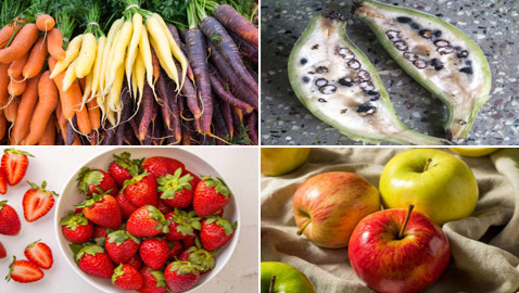 الجزر ليس برتقاليا والموز به بذور.. 10 فواكه وخضراوات من صنع الإنسان عن طريق التهجين