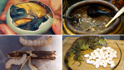 الفلامنغو وبيض السحالي.. 10 أطعمة غريبة من العالم القديم لا تزال تُؤكل اليوم