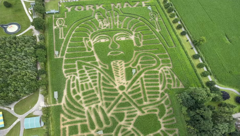 مزارع بريطاني يحول مزرعته إلى لوحة للملك توت عنخ آمون.. صور