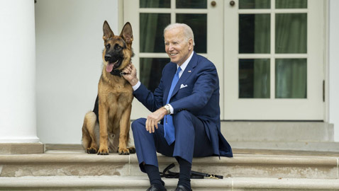 هاجم ضباطاً بالبيت الأبيض.. ماذا سيحل بكلب بايدن؟