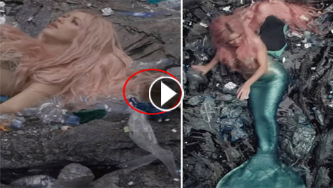 شاكيرا ترتعد خوفا بعد اقتحام فأر موقع تصوير أغنيتها الجديدة
