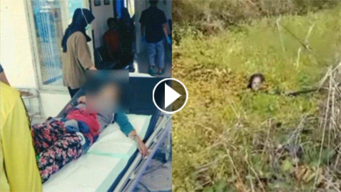 فيديو: سيدة إندونيسية تنجو من هجوم تمساح بأعجوبة.. قاومته 90 دقيقة!