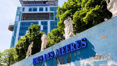 بالصور: كيف تحولت ملاجئ الحرب العالمية إلى مواقع ثقافية