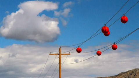 السبب خلف تعليق كرات ملونة على أسلاك الكهرباء والطاقة