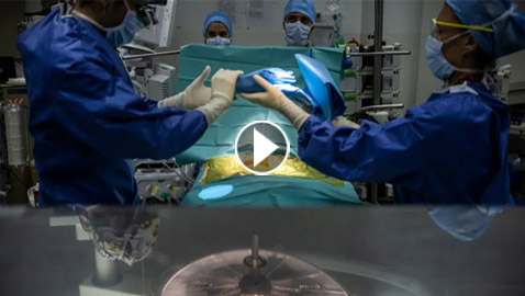 إنجاز طبي.. كلية خنزير تعمل بجسد إنسان بعد شهر من زراعتها.. فيديو