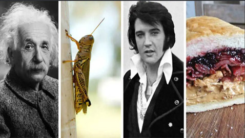 أغرب العادات الغذائية التي تبنتها شخصيات تاريخية معروفة!