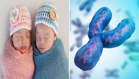 إنجاز علمي خارق: فك لغز الكروموسوم 