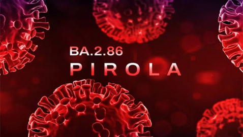 بيرولا.. ماذا نعرف عن متحور كورونا الجديد الذي يقلق العالم؟