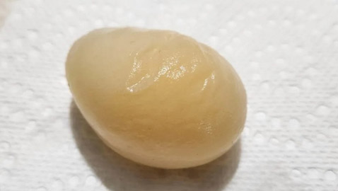 بيضة دجاجة غريبة بدون قشرة تثير ضجة