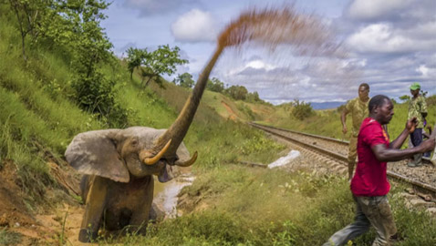 إحداها لقرد على ظهر غزال.. ألق نظرة على الصور المشارِكة بمسابقة مصور الحياة البرية لعام 2023