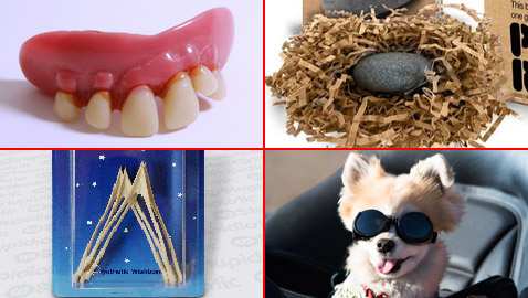 من بينها حجر أليف.. 4 اختراعات تافهة لكنها جعلت أصحابها أغنياء