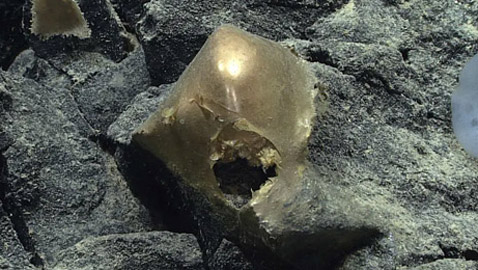 جسم ذهبي غريب انتشل من أعماق المحيط يثير حيرة العلماء! صور