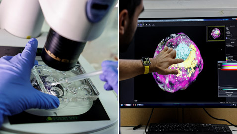 الأجنة البشرية الاصطناعية: تساؤلات أخلاقية لا تنتهي!