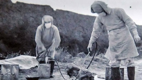 بهذا العام.. حاولت اليابان القضاء على أمريكا بالميكروبات