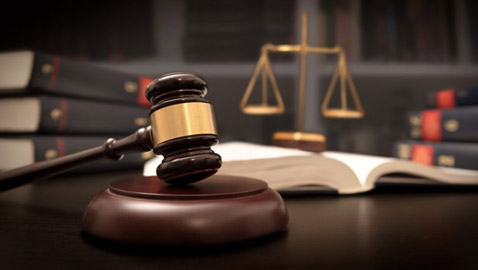 في يوم القانون العالمي.. تعرفوا على أنواع القوانين المختلفة