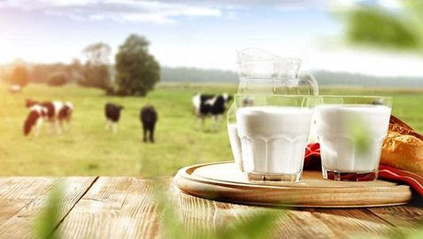 5 أطعمة ترفع مستويات الطاقة.. على رأسها مصدر نباتي!