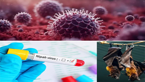 الهند تسارع لاحتواء 