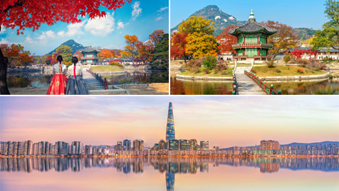 معلومات مميزة يجب معرفتها قبل التخطيط للسفر إلى كوريا الجنوبية