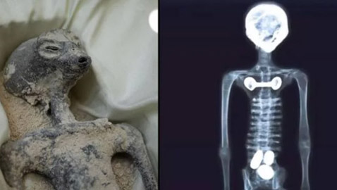 كائنات المكسيك الفضائية المخيفة.. صور الأشعة تفجر صاعقة!