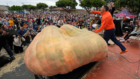 يقطينة عملاقة تزن أكثر من طن تحطم رقما قياسيا عالميا بأمريكا.. صور